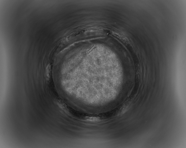 X0000086770649200705041509