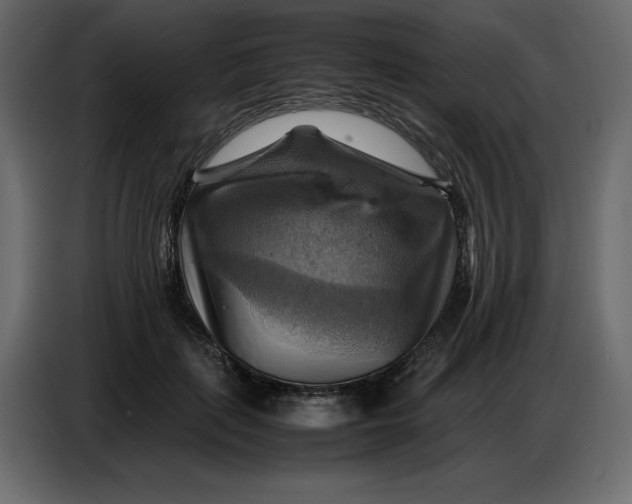 X0000086770651200705041509