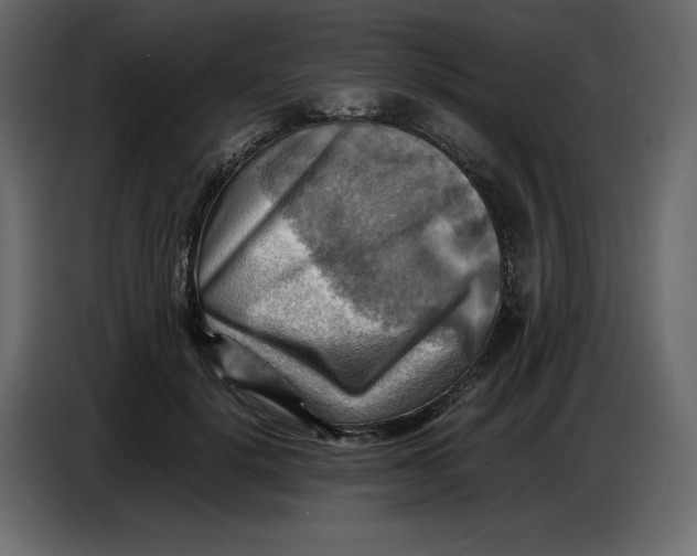 X0000086770652200705041509