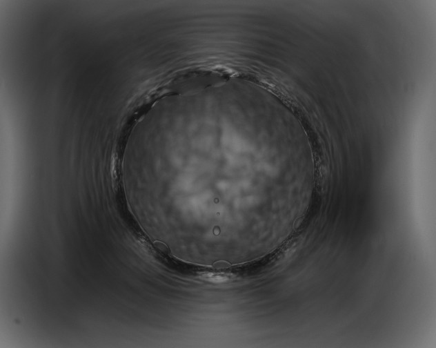 X0000086770654200705041509
