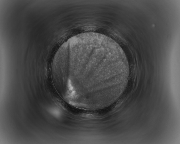 X0000086770655200705041509