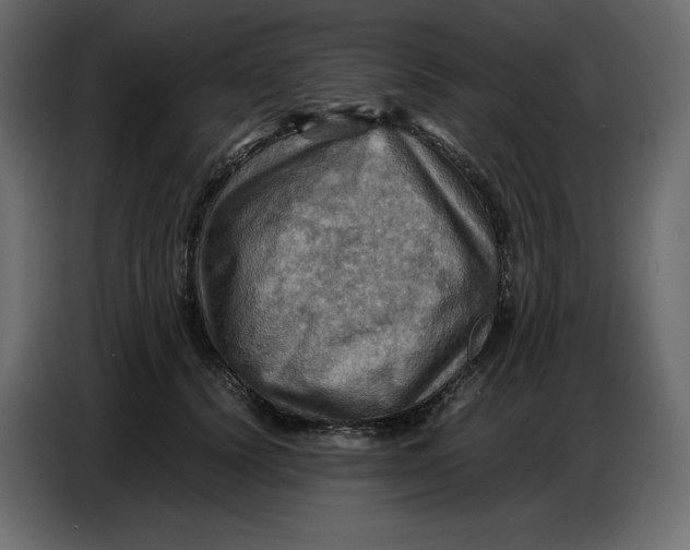 X0000086770656200705041509