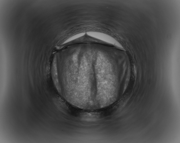 X0000086770657200705041509