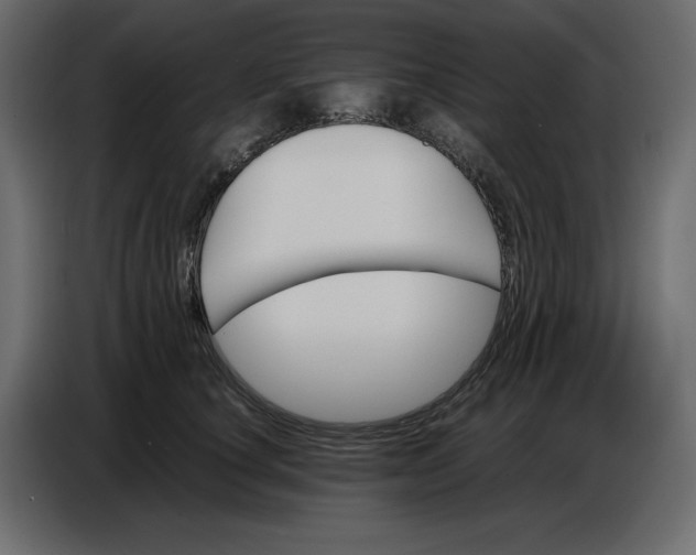 X0000086770660200705041509
