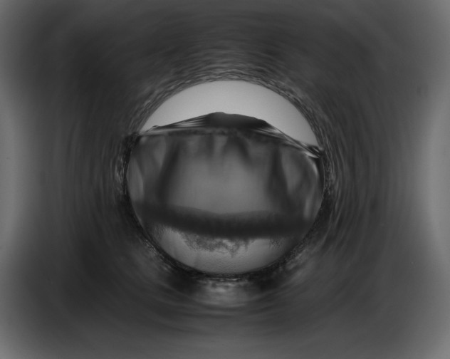 X0000086770661200705041509