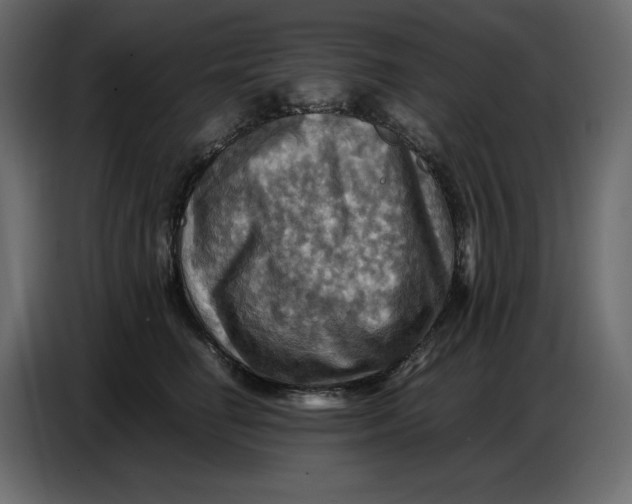 X0000086770662200705041509