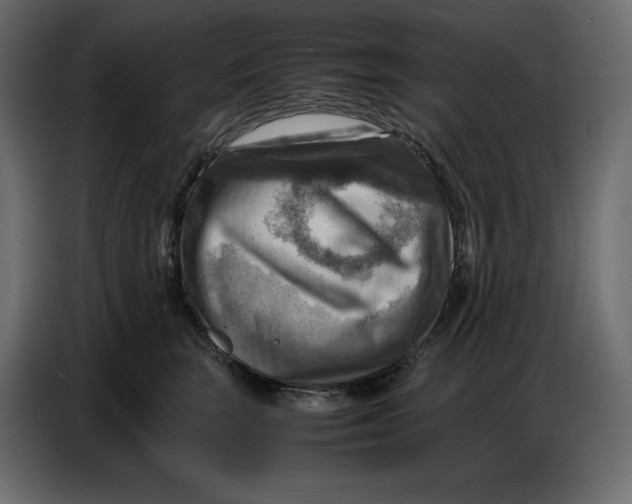 X0000086770663200705041509
