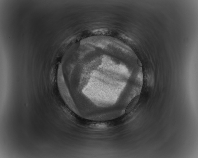 X0000086770665200705041509
