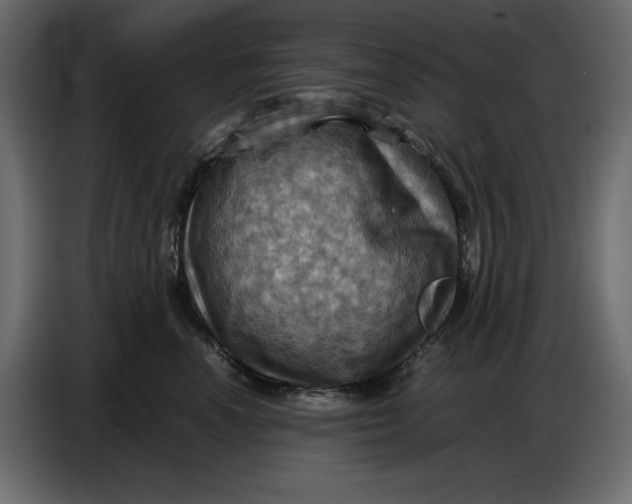 X0000086770666200705041509