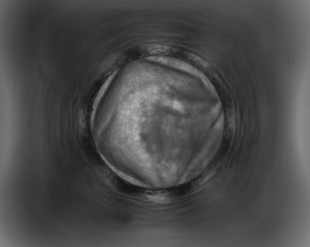 X0000086770667200705041509