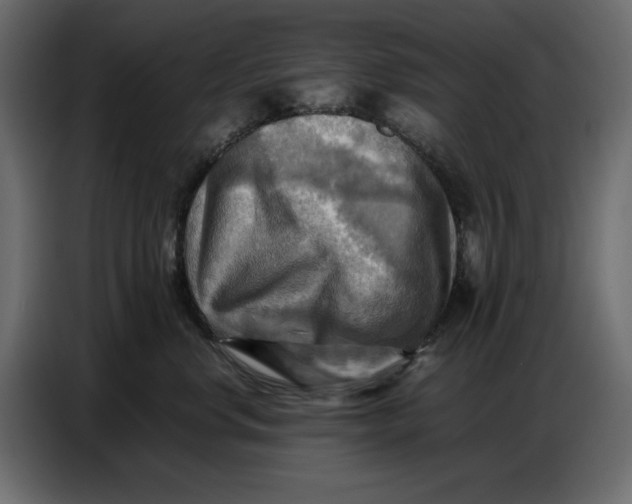X0000086770668200705041509