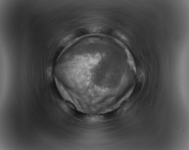 X0000086770670200705041509