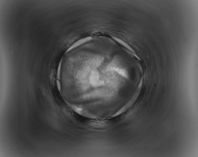 X0000086770671200705041509