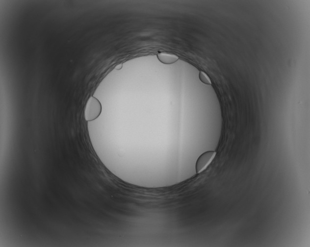 X0000086770672200705041509