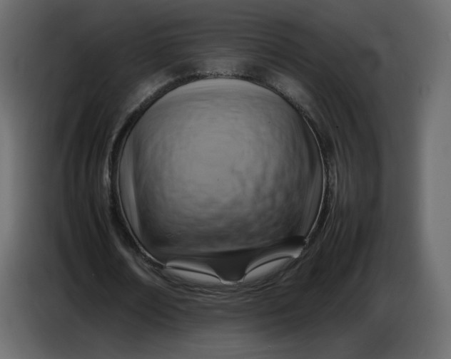 X0000086770674200705041508