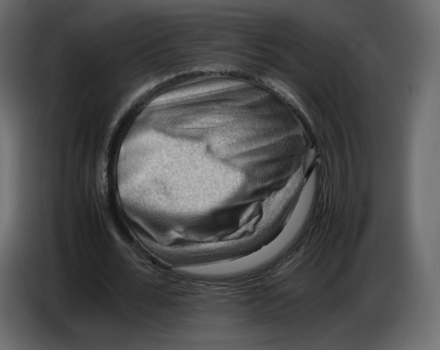 X0000086770676200705041508