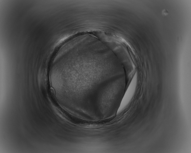 X0000086770677200705041508