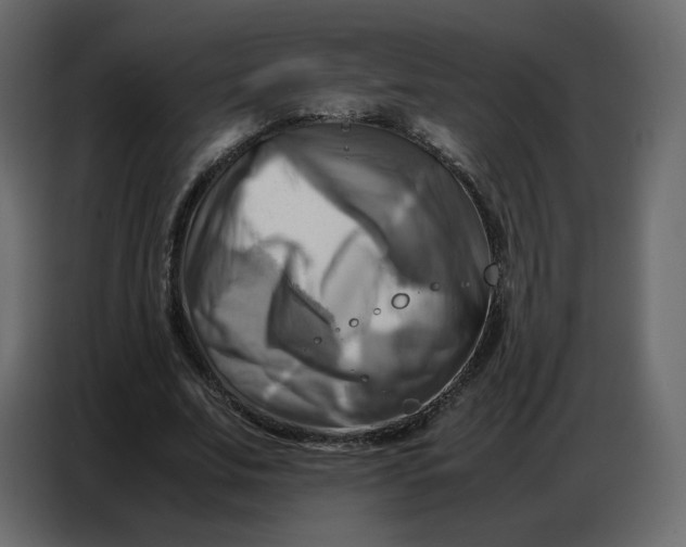 X0000086770679200705041508