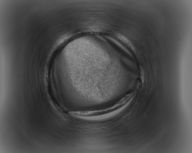 X0000086770680200705041508