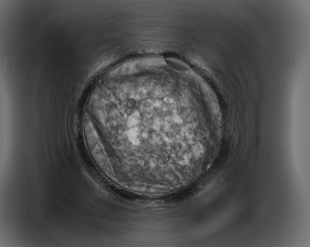 X0000086770683200705041508