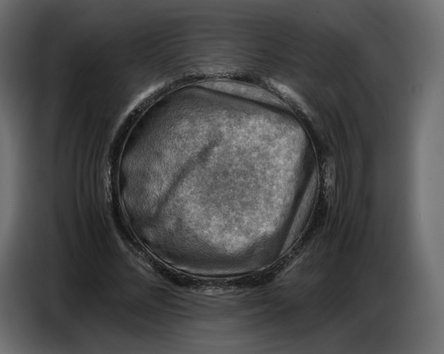 X0000086770684200705041508