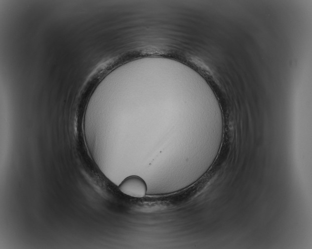 X0000086770686200705041508