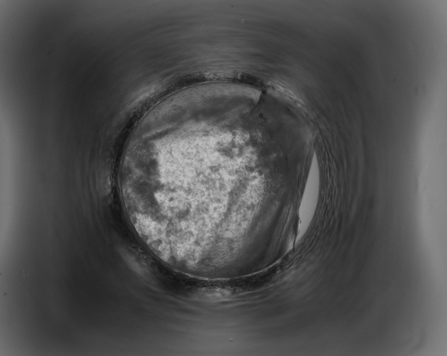 X0000086770687200705041508