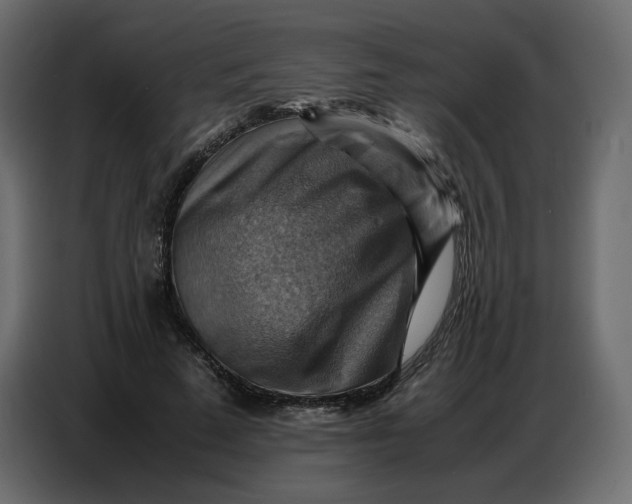 X0000086770689200705041508