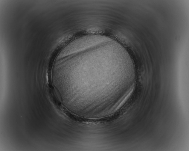 X0000086770690200705041508