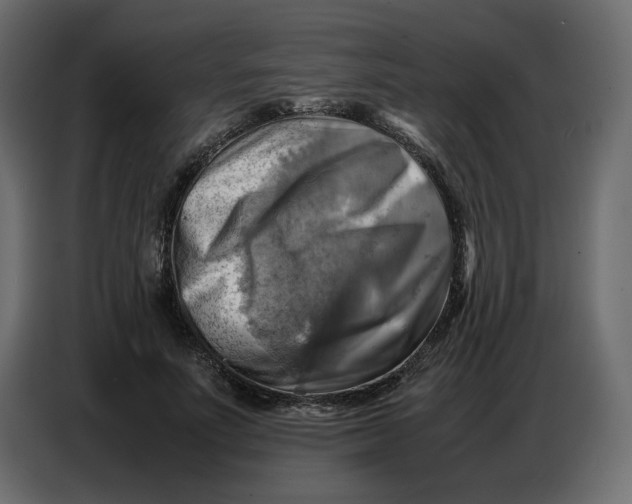 X0000086770691200705041508