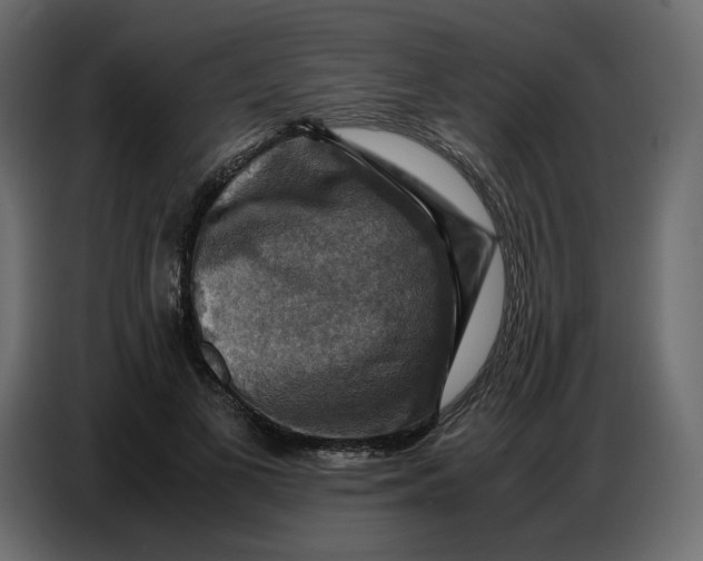 X0000086770693200705041508
