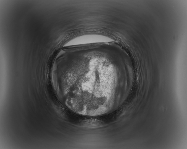 X0000086770695200705041508