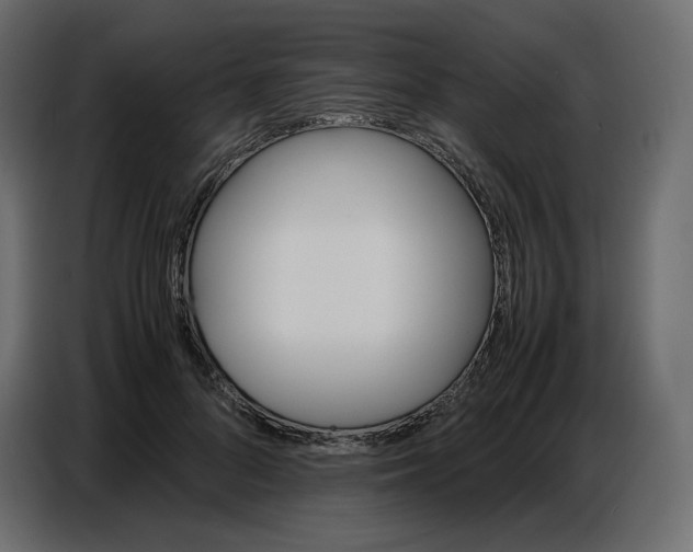 X0000086770696200705041508