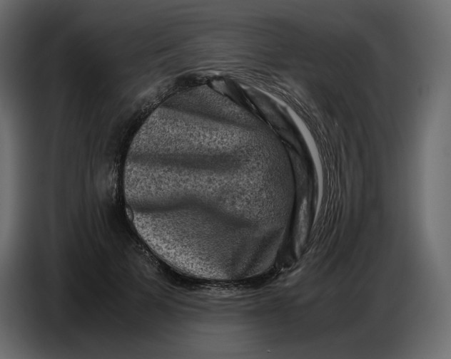 X0000086770697200705041508