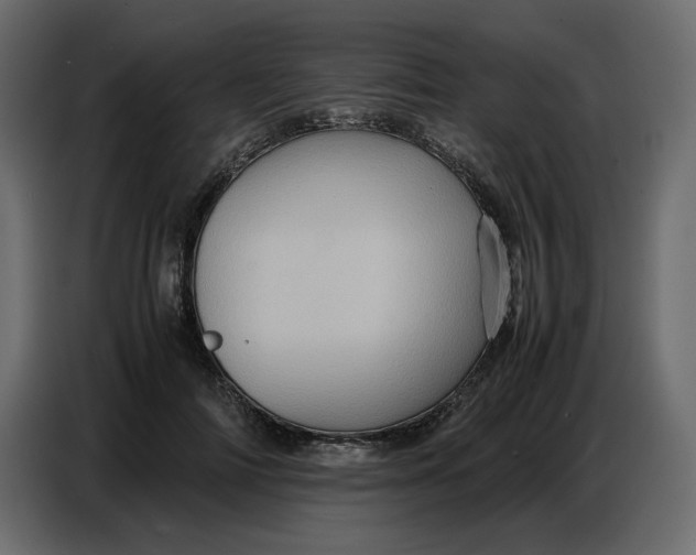 X0000086770698200705041508