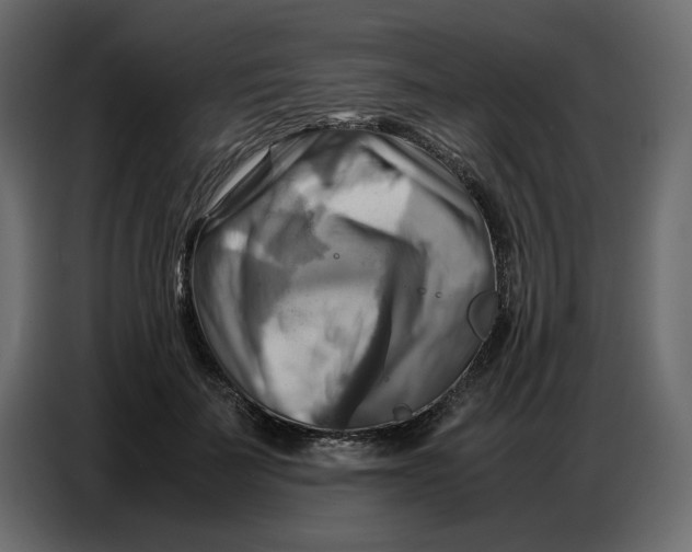 X0000086770699200705041508