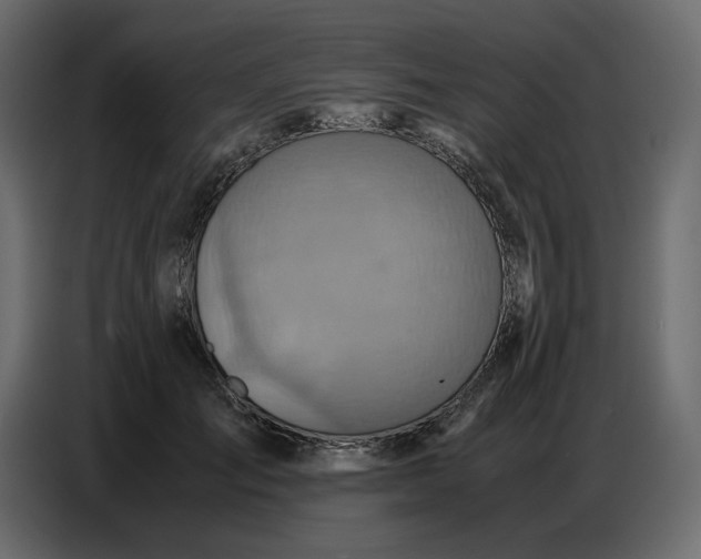 X0000086770701200705041508