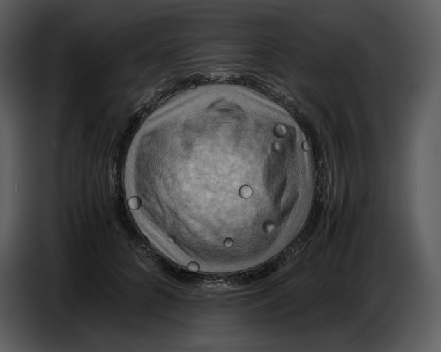 X0000086770704200705041508