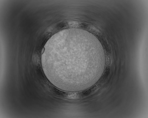 X0000086770705200705041508