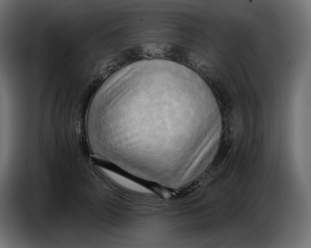 X0000086770706200705041508