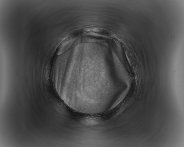 X0000086770708200705041508
