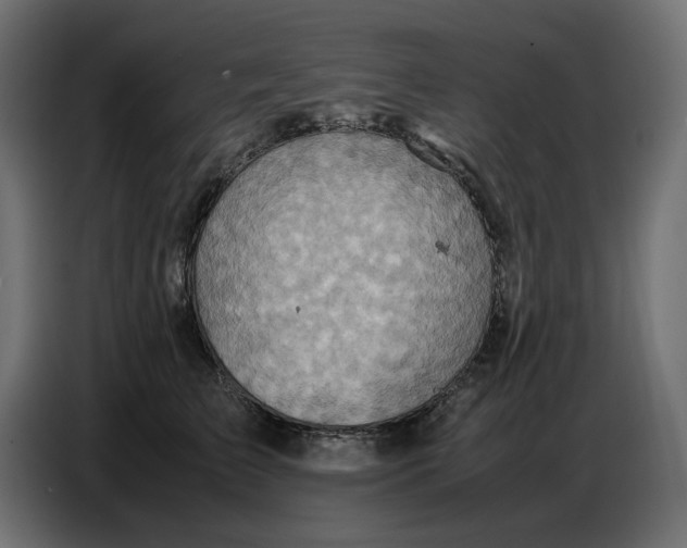 X0000086770709200705041508