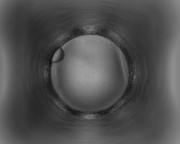 X0000086770710200705041508