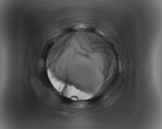 X0000086770711200705041508