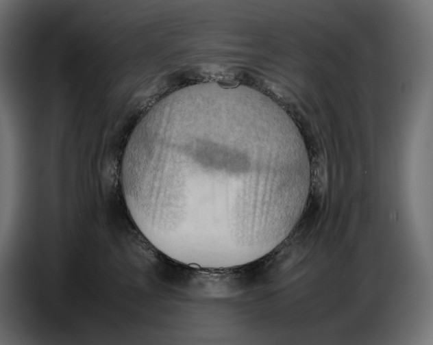 X0000086770713200705041508
