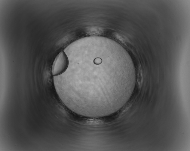 X0000086770714200705041508
