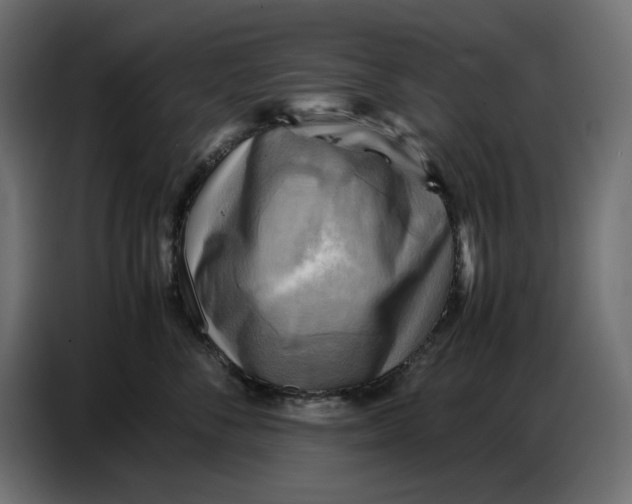X0000086770716200705041508