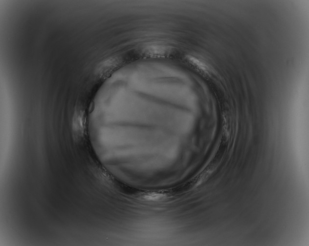 X0000086770718200705041508