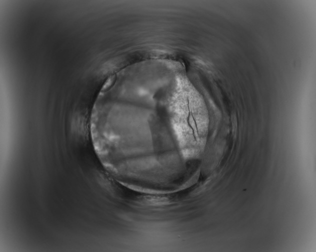 X0000086770719200705041508