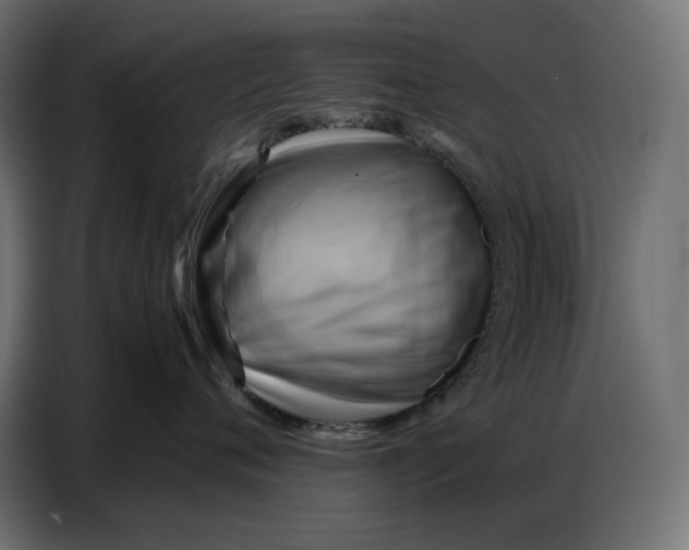 X0000086770720200705041508